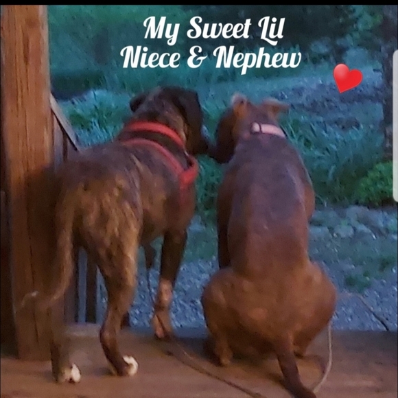 Please like new game #12 - Picture 5 of 10